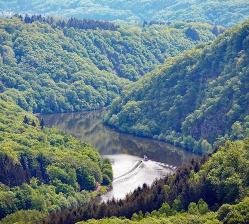 In der Saarschleife